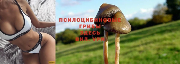 каннабис Баксан