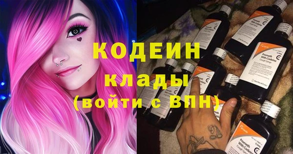 индика Балабаново