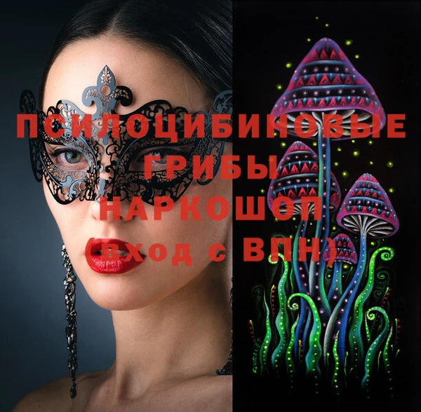 индика Балабаново