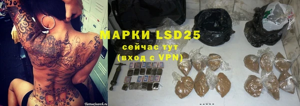 индика Балабаново