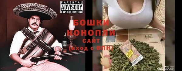 индика Балабаново